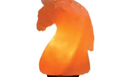 Himalayan Salt Lamp Horse